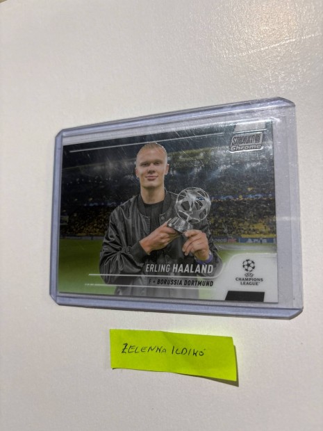 Erling Halland focis kártya