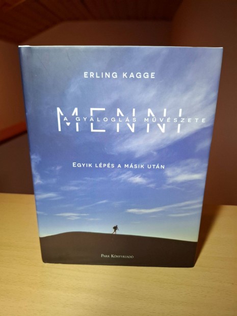 Erling Kagge: Menni