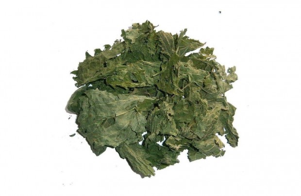 rtkestse Csalnlevl (Nettle Leaf) mlesztve a gyrttl a legjobb