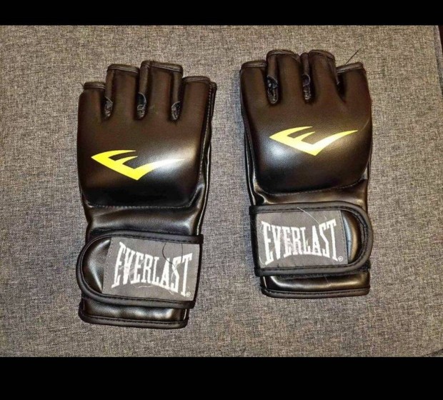 Everlast MMA fighting Gloves