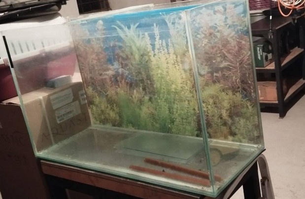 Ex-akvrium/Terrrium