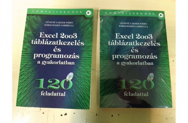 Excel 2003 tblzatkezels s programozs a gyakorlatban jszer