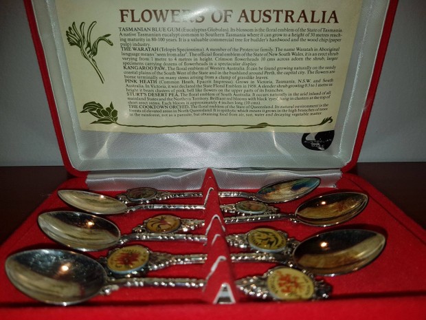 Ezstztt teskanl - 6 db - Flowers of Australia mintval