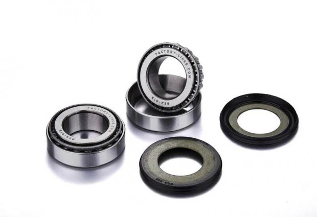 FACTORY LINKS Csapgykszlet - 6203 2RS 5x