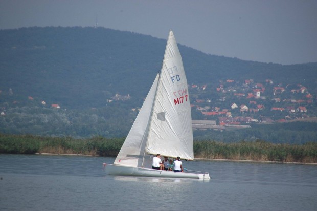 FD Repl Hollandi vitorls elad