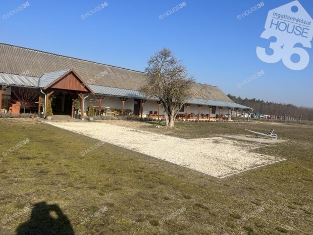 FEDEZZE FEL A T�K�LETES MENED�KET A TERM�SZETBEN!