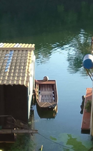 Fa cs�nak haj� ladik 5.5 m�teres 3 �ves borovi feny� szezon el�tti �r!