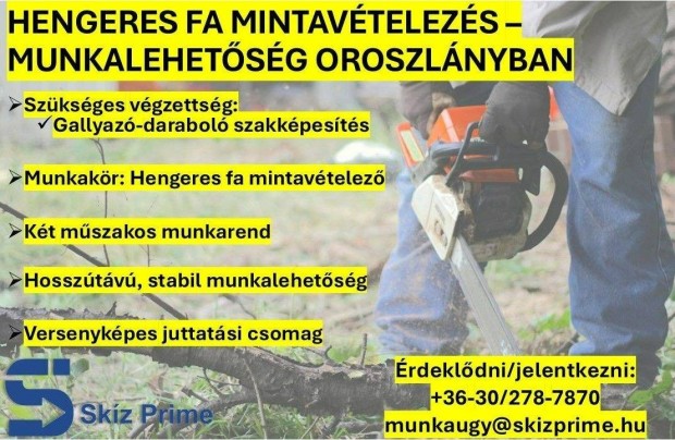 Fa mintavételezés - munkalehetőség Oroszlányban