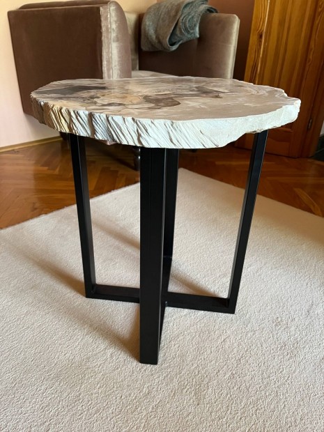 Faopl kvz asztalka - petrified wood coffee table