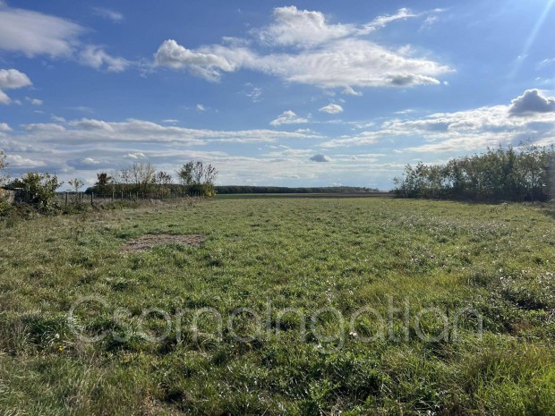 Far�d - dupla telek elad�