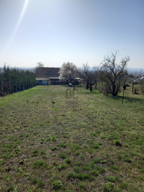 Fedezze fel �lmai telk�t F�ton  lehet�s�g a j�v�be, z�ld k�rnyezetben