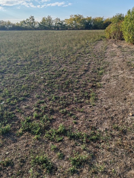 Fedezze fel �lmai telk�t Kengyelen  ide�lis lak��vezet befektet�knek