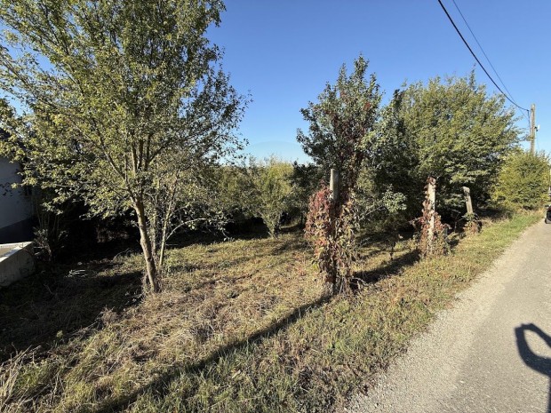 Fedezze fel �lmai telk�t M�nyban  a t�k�letes hely a j�v�j�hez!