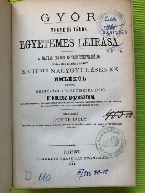 Fehr Ipoly: Gyr megye s vros egyetemes lersa 1874 trkppel