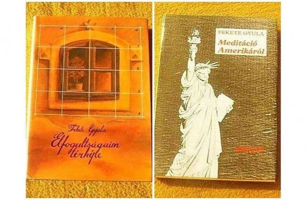 Fekete Gyula - Elfogultsgaim trkpe - Meditci Amerikrl