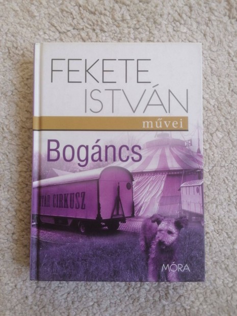 Fekete Istvn: Bogncs