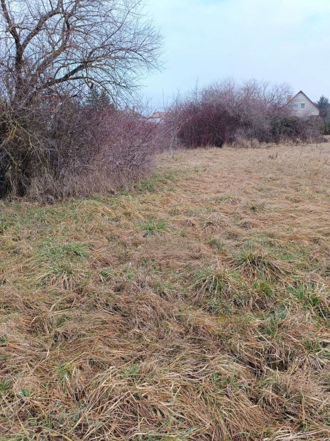 Feketehegyen 1400m2-es nyeles telek elad�