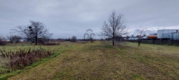 Fektessen be Smegen, Bvtse vllalkozst!