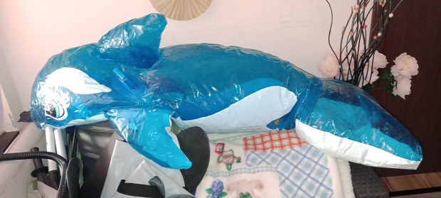 Felfjhat delfin ingyen elvihet
