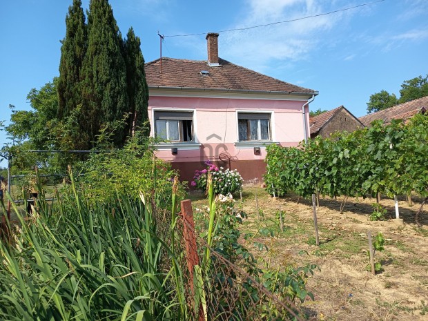 Fels�szenterzs�beti elad� t�gla csal�di h�z