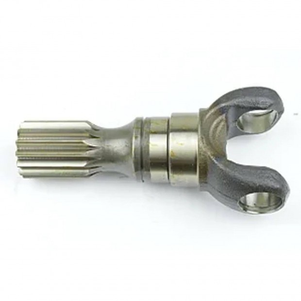 F�ltengely Dana Spicer