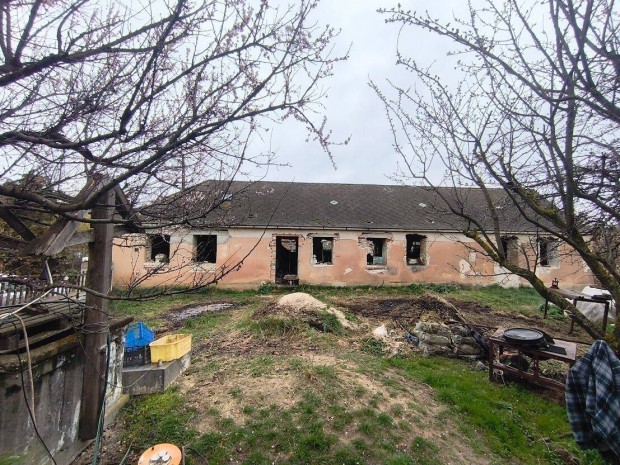 Fel�j�tand� csal�di h�z elad� Nemesv�moson