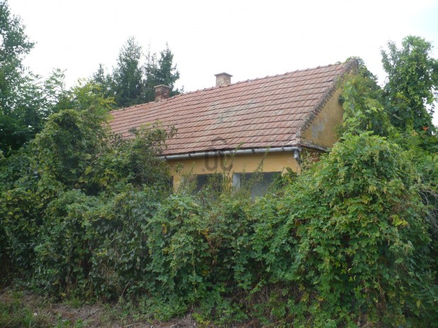 Fel�j�tand� kis h�z, aszfaltozott utc�ban