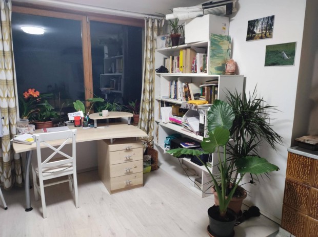 Fel�j�tott kis h�z H�dmez�v�s�rhely