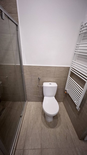 Fel�j�tott paraszth�z Saj�b�bonyban