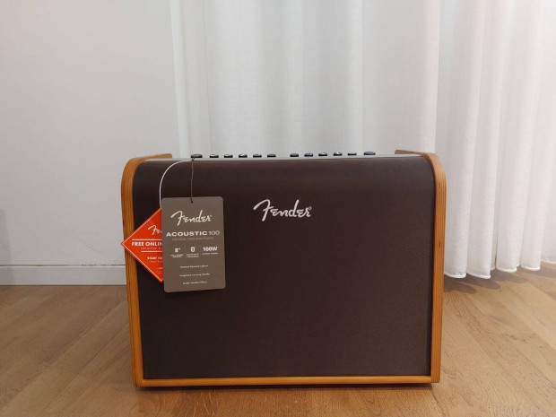 Fender Acoustic 100