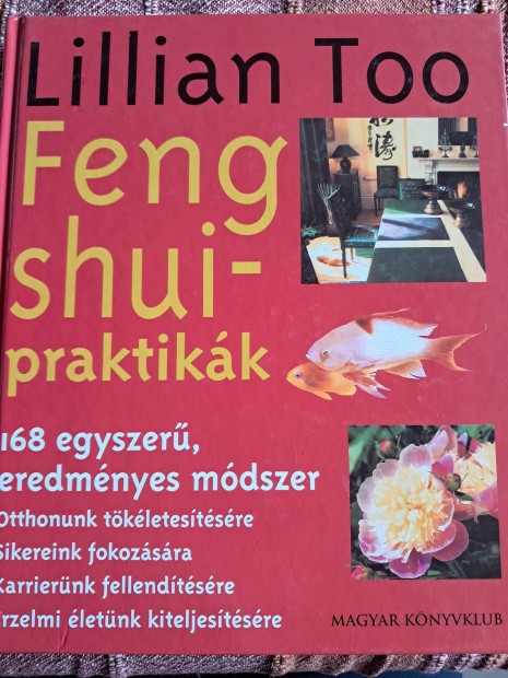 Feng Shui Praktikk 168 Eredmnyes Mdszer 