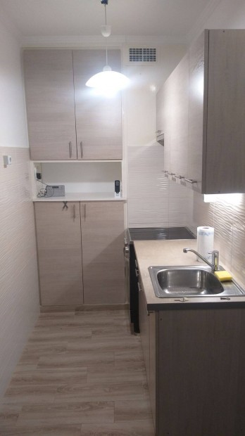 F�nyesudvarban 35 m2-es 1,5 szob�s lak�s kiad�