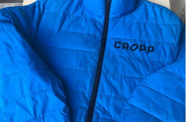 Férfi kabát L-es méretben (Cropp)