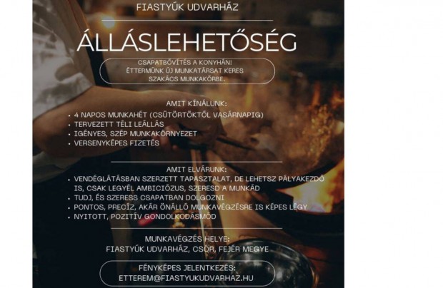 Fiastyúk szakács