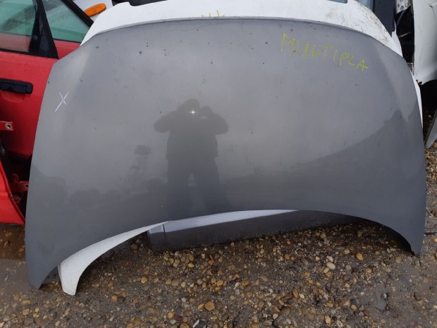 Fiat Multipla Motorh�ztet�