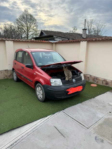Fiat Panda bonts