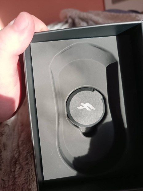 Finalmouse Guardian Lion 8000hz gamer egér
