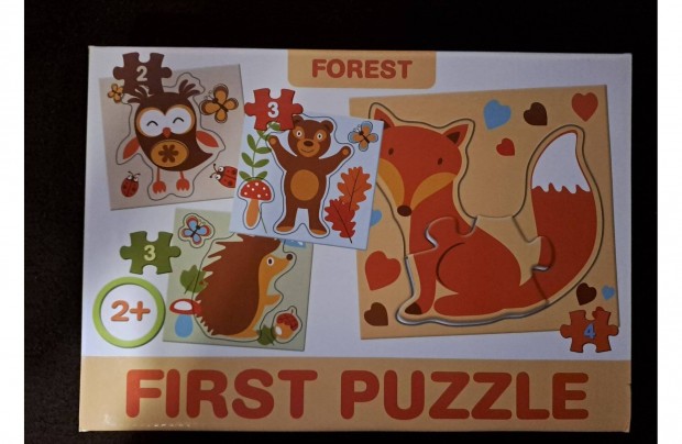 First Puzzle kiraks jtk forest tma