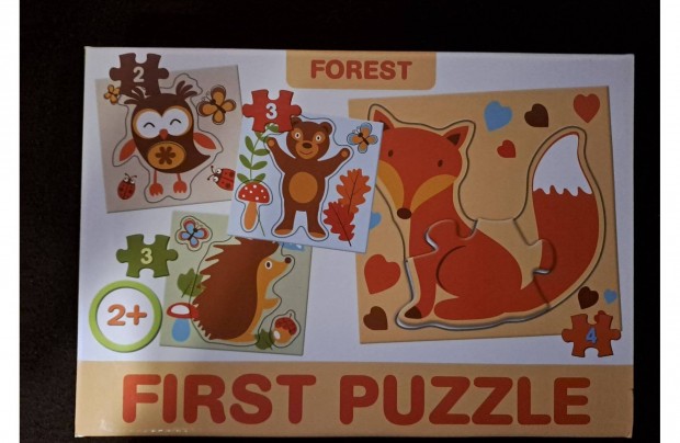 First Puzzle kiraks jtk forest tma
