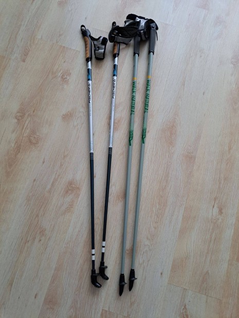 Fischer, Crane, nordic walking bot, 2 pr, trabot