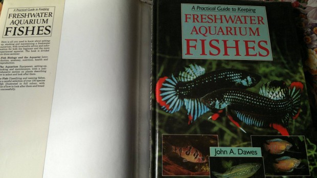 Fishes :Freshwater Aquarium: j