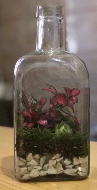 Florarium, mini kert üvegben