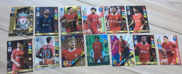 Focis krtyk, FIFA Panini 365 klnleges krtyk gyjtemnye