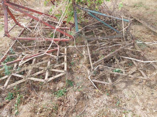 Fogasborona, fogas, sz�nt�selmunk�l�