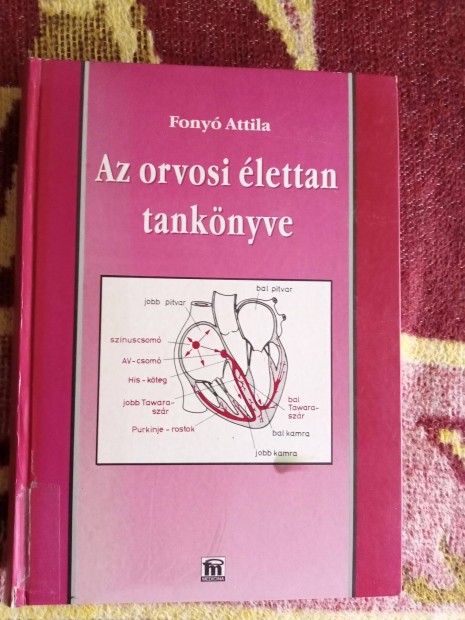 Fony Attila: Az orvosi lettan tanknyve