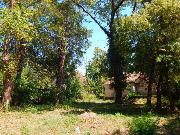 Fony�don,Balatont�l 100 m-re,kiv�l� adotts�g� �p�t�si telek elad�