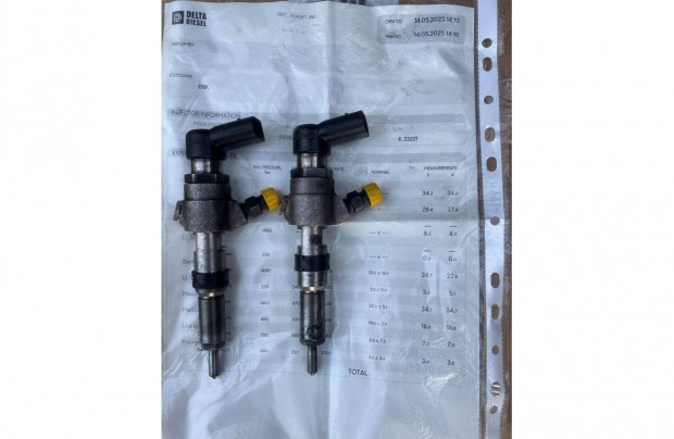 Ford 1,4 TDCI porlaszt 9655304880 2S6Q9F593AA hibtlan bevizsglt