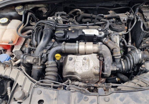 Ford 1.6TDCI T1DB Motor eladó