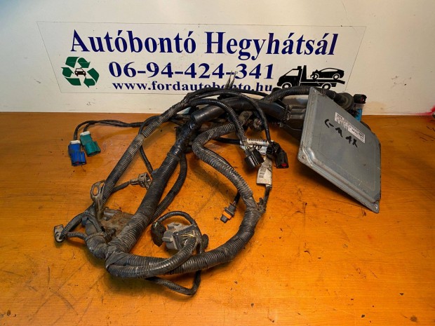 Ford C-Max MK1 1.6B ECU