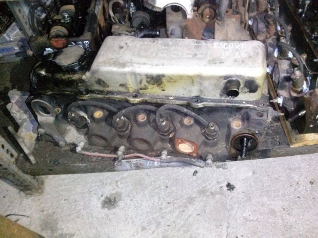 Ford Escort4 1,6 Diesel Hengerfej